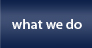 what we do